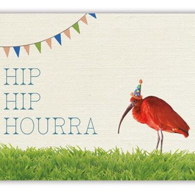 Hip Hip Hourra (SKU: ET0900FR)