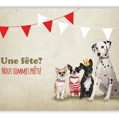 Une fete? Nous sommes prets! (SKU: ET0908FR)