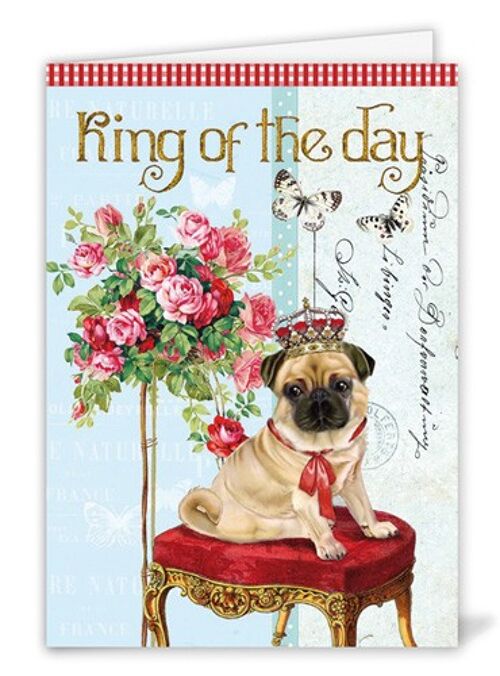 King of the Day (SKU: GB325)