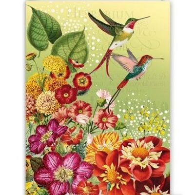 Hummingbird (o.T.) (SKU: GB435)