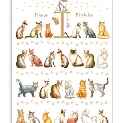Cats - Happy Birthday (SKU: 3977)