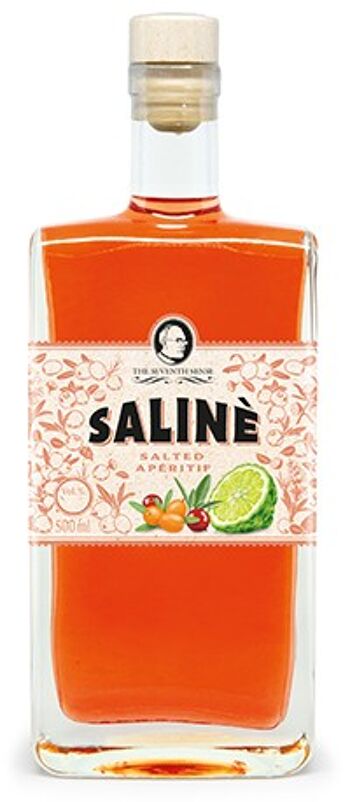 Le Septième Sens Salinè - apéritif salé 20% - 0.5l