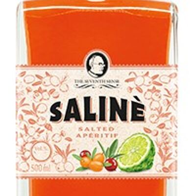 The Seventh Sense Salinè - salted aperitif 20% - 0,5l
