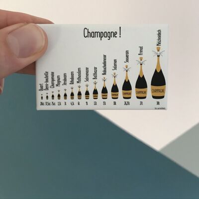 Champagne bottle size magnet