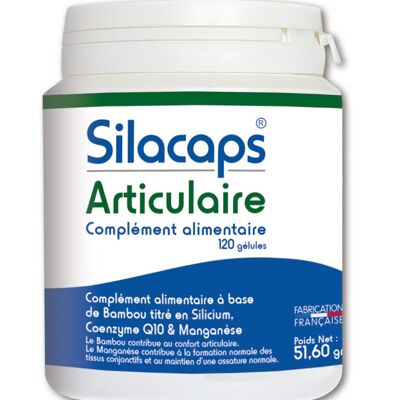 Silacaps articulaire