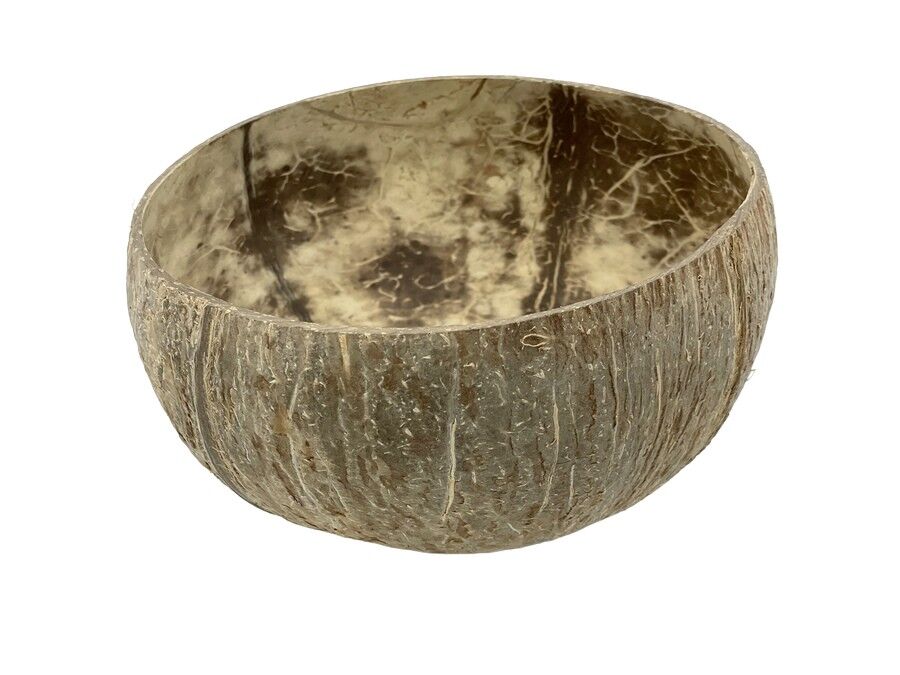 Ciotola di cocco naturale Jumbo