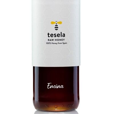 TESELA Premium Encina Miel Cruda - 320g