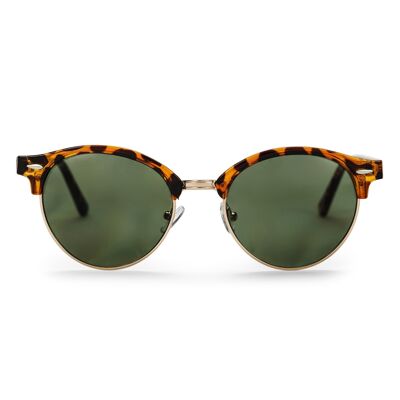 CASPER II turtle brown/green