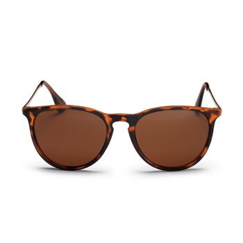 ROMA turtle brown / brown 1