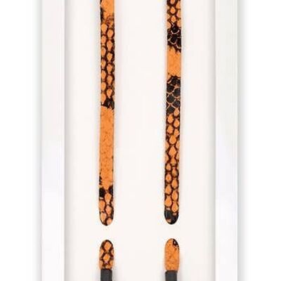 Serpiente Escarlata - Cordones
