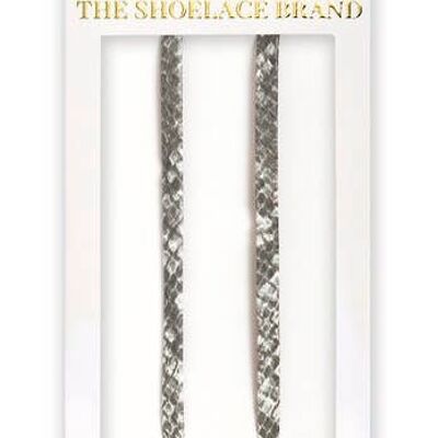 Gray Kingsnake - Shoelaces