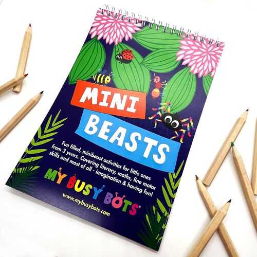 Mini Beast Booklet