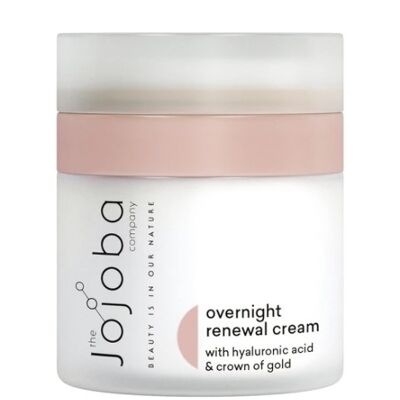 Natural nourishing night cream for dry skin - With hyaluronic acid