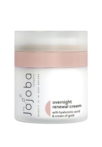 Natural nourishing night cream for dry skin - With hyaluronic acid 1