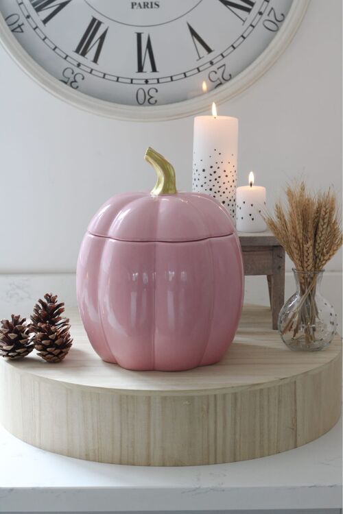 Ceramic Pumpkin Jar - Pink - Large