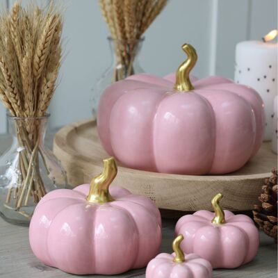 Ceramic Pumpkin Pink - Medium