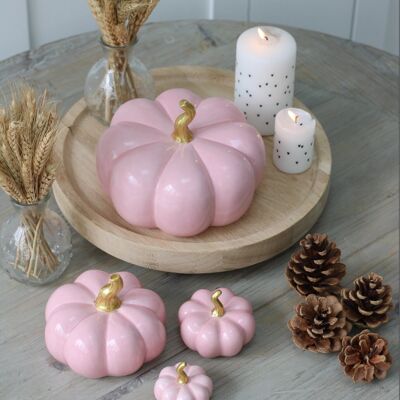 Ceramic Pumpkin Pink - Small