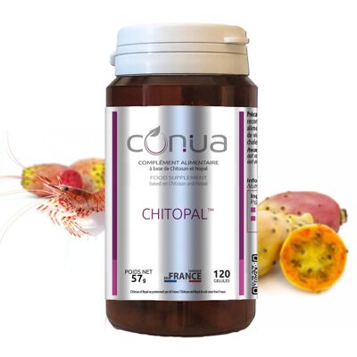 Chitopal® Chitosan nopal, 120 capsule in polvere extra forte ⭐️ purezza ad alta densità garantita al 90% ⭐️ Nopal absorber fissativo soppressore dell'appetito e digestione difficile