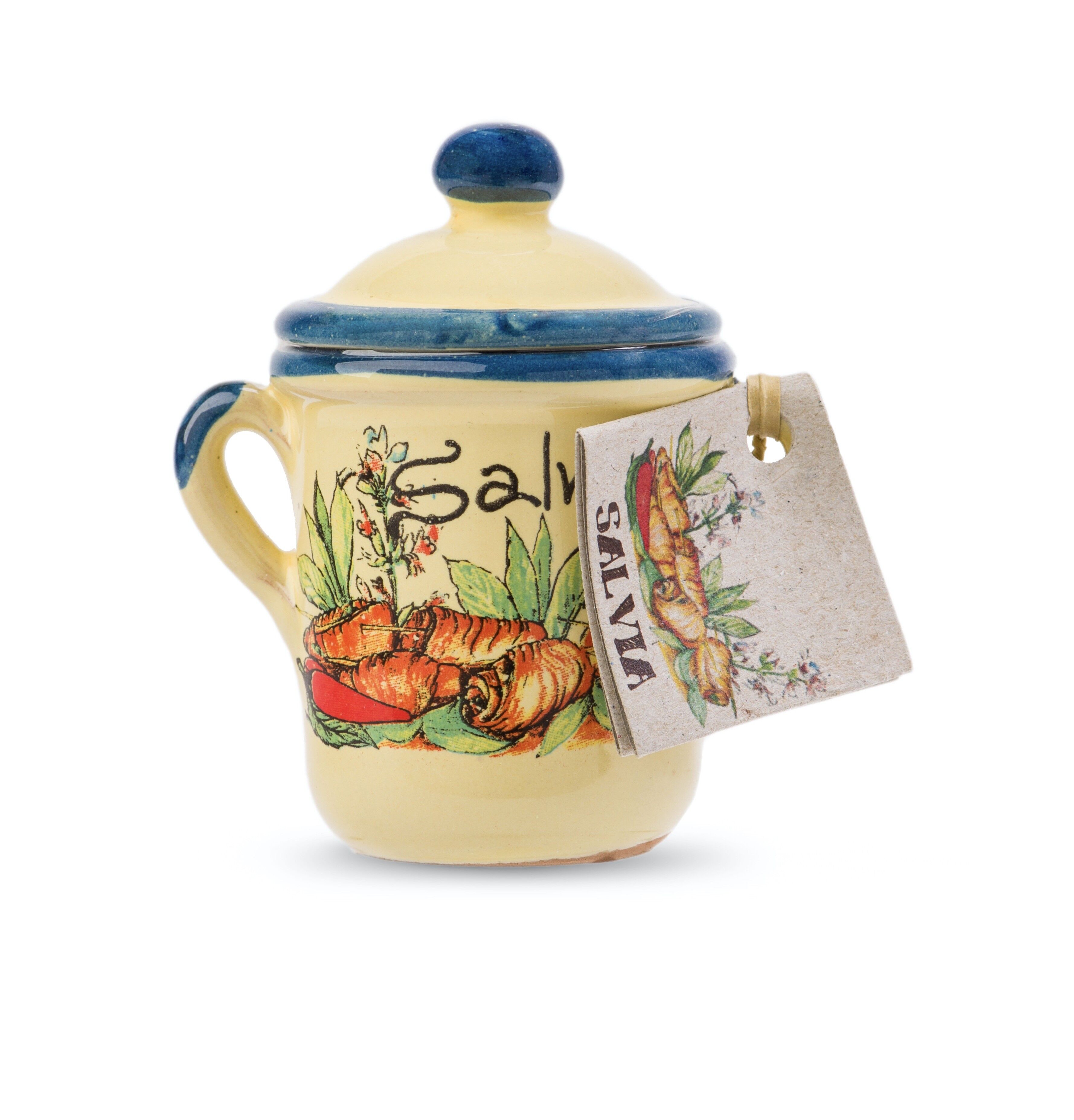 Salvia in vaso di terracotta fatto a mano