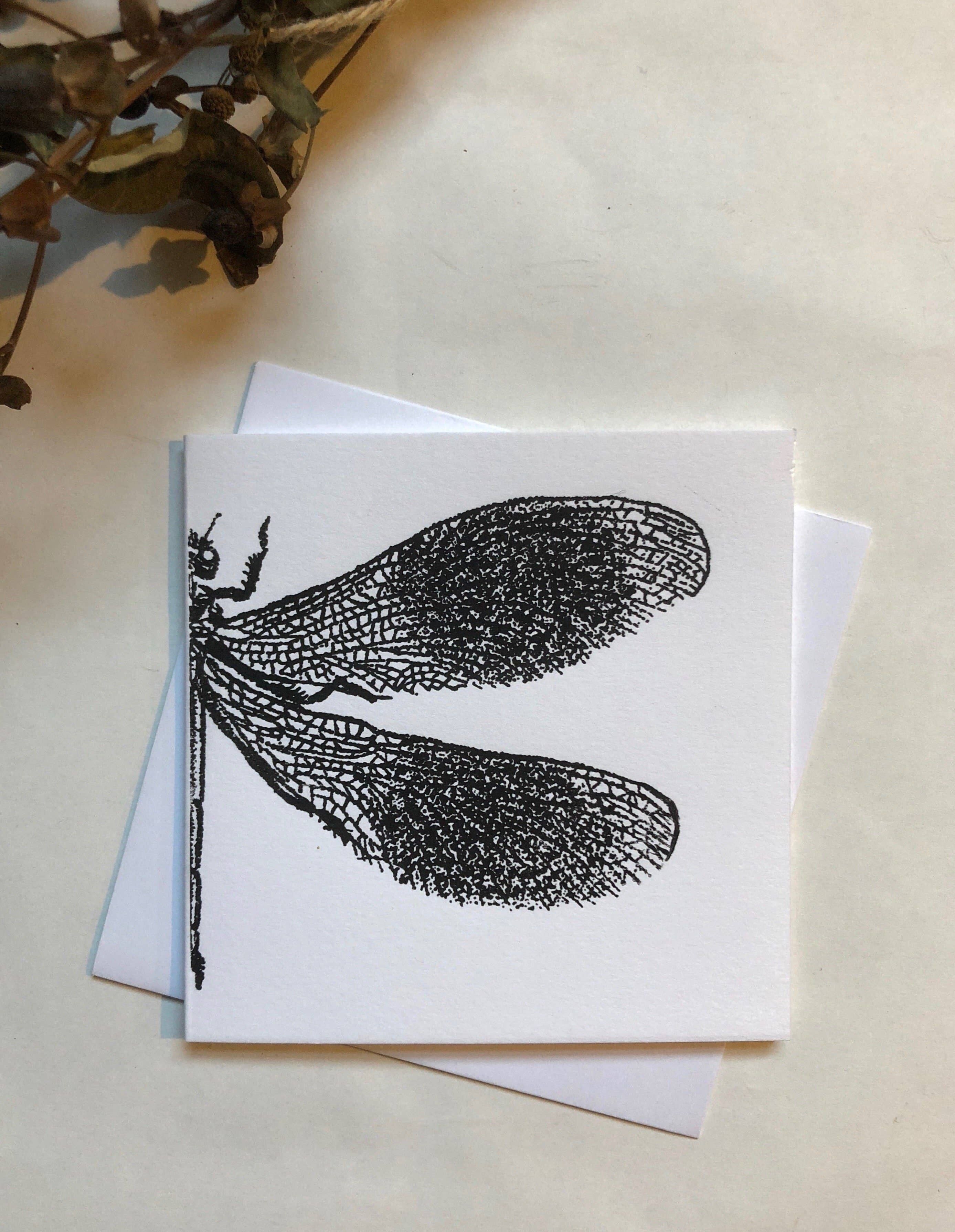 Libélula Demoiselle Con Bandas