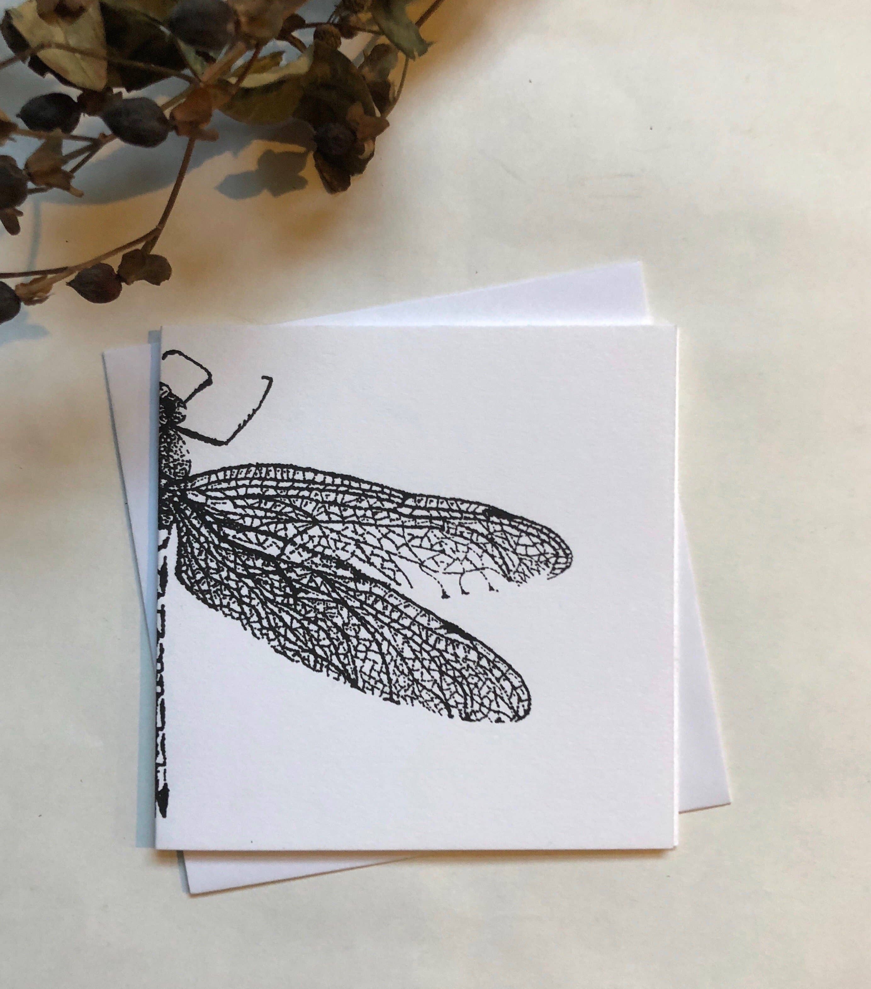 Libellula imperatore