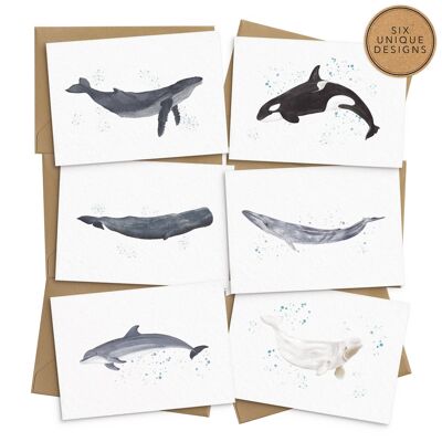 Tarjetas de felicitación de ballenas y delfines - Juego de 6