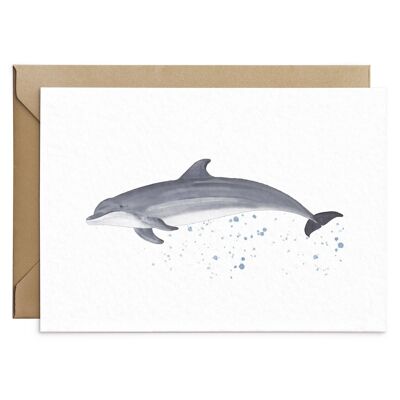 Dolphin Greeting Card