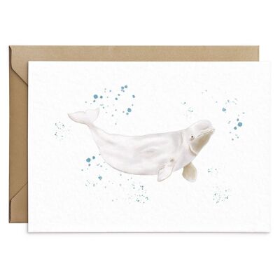Beluga Whale Card