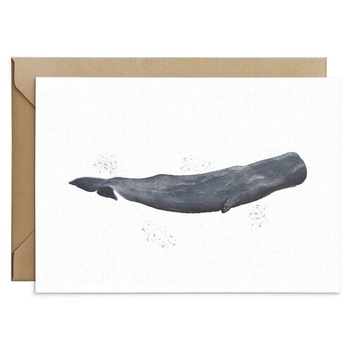 Sperm Whale Card