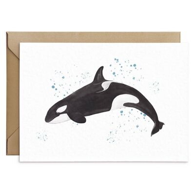 Tarjeta Ballena Orca