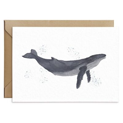 Humpback Whale Card