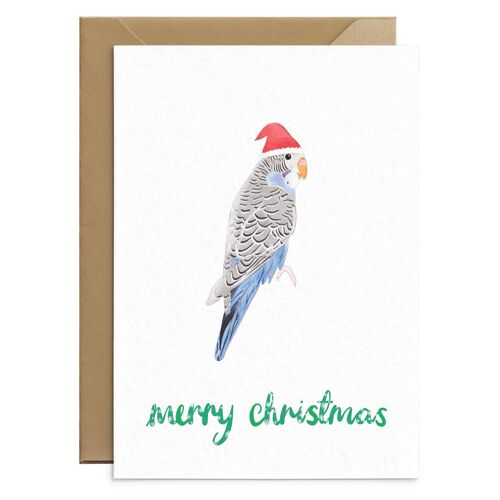 Cute Budgie Christmas Card