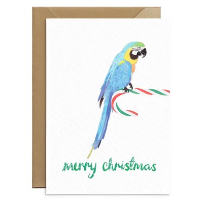 Cartolina di Natale carina pappagallo