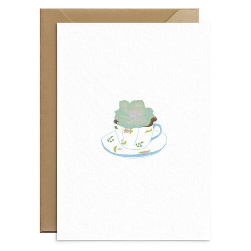 Succulent Plant Greetings Card