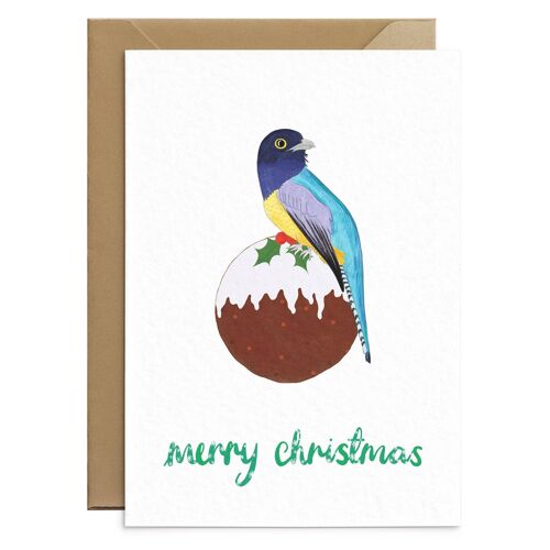 Tropical Bird Christmas Card