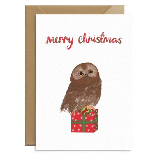Cute Owl Christmas Card