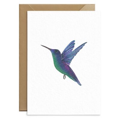 Carte vierge de colibri