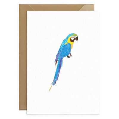 Parrot Card Blank