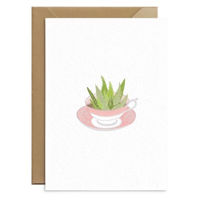 Carta succulenta vintage