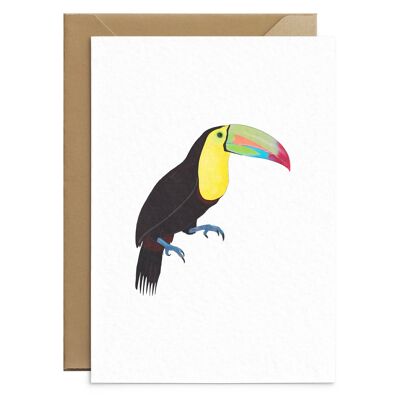Toucan Greetings Card