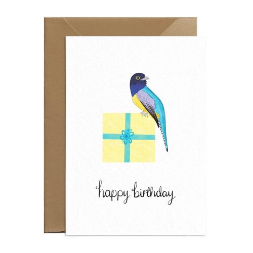 Guianan Trogon Birthday Card