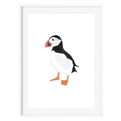 Puffin Art Print