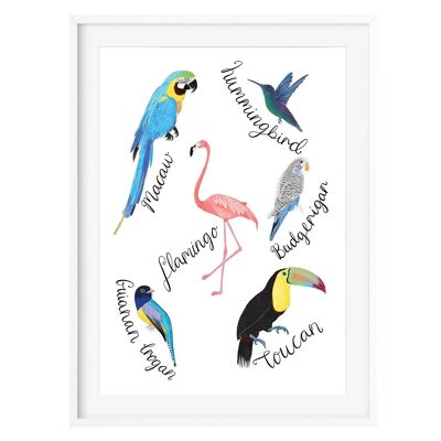 Stampa artistica di uccelli tropicali