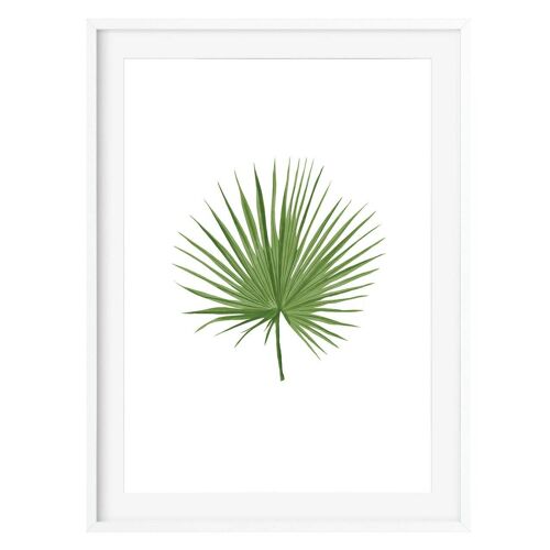 Botanical Fan Leaf Print