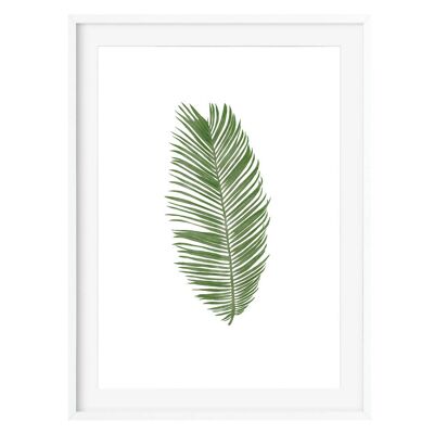 Stampa botanica di foglie di palma