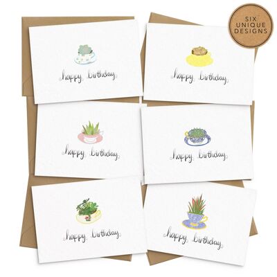 Cartes d'anniversaire Succulentes - Lot de 6