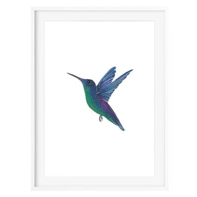 Kolibri-Kunstdruck