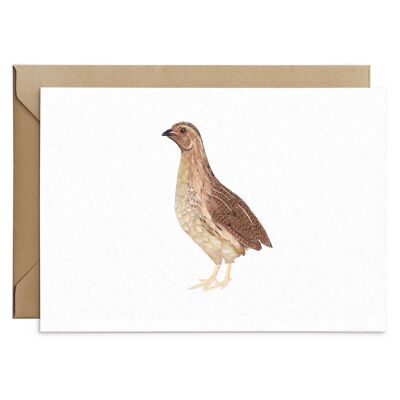 Common Quail Card