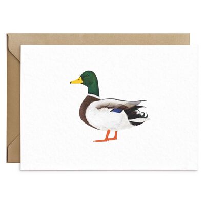 Mallard Card