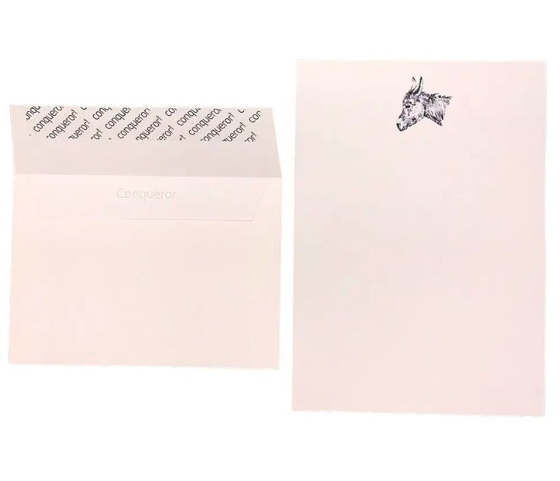 Compendio della carta da lettere dell'asino